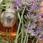flacon d'huile essentielle de lavande pour la formation aromatherapie